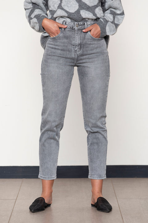 JEANS MYRTILLOCACTUS