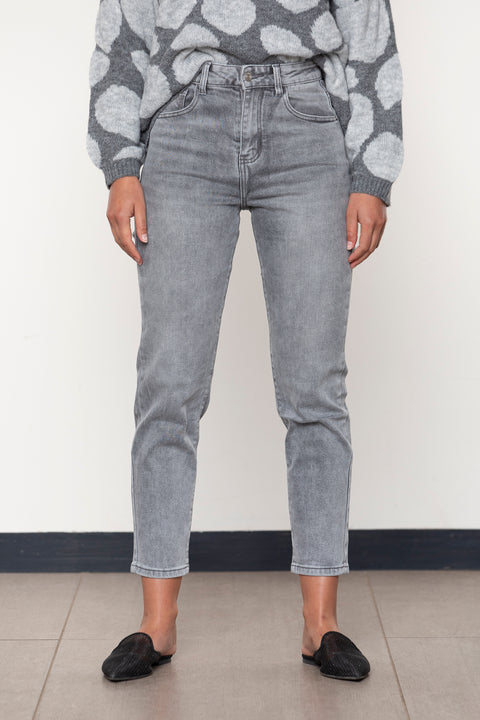JEANS MYRTILLOCACTUS