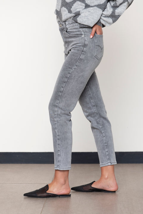JEANS MYRTILLOCACTUS