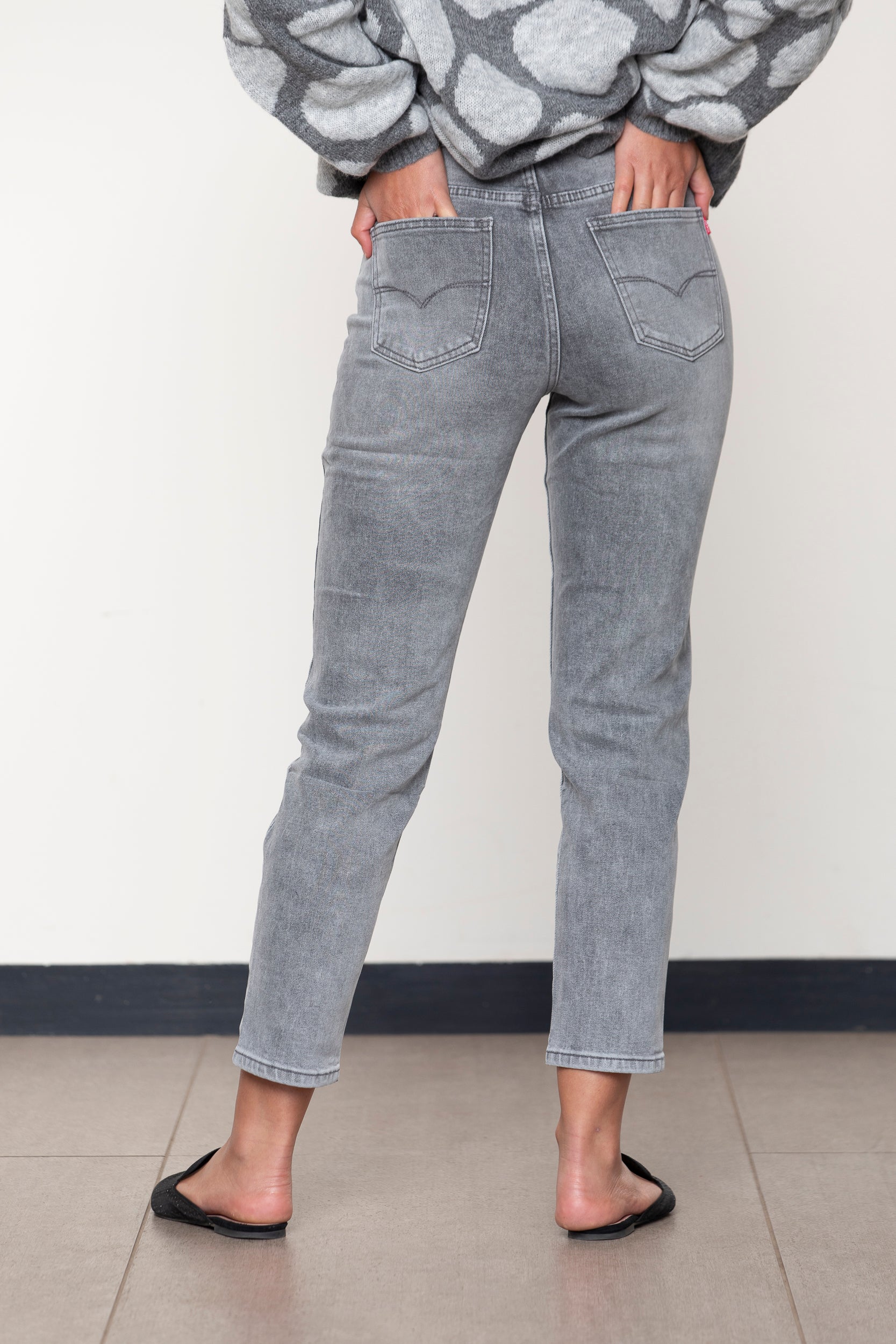 JEANS MYRTILLOCACTUS