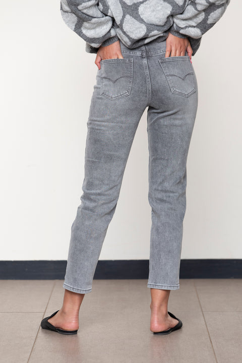 JEANS MYRTILLOCACTUS