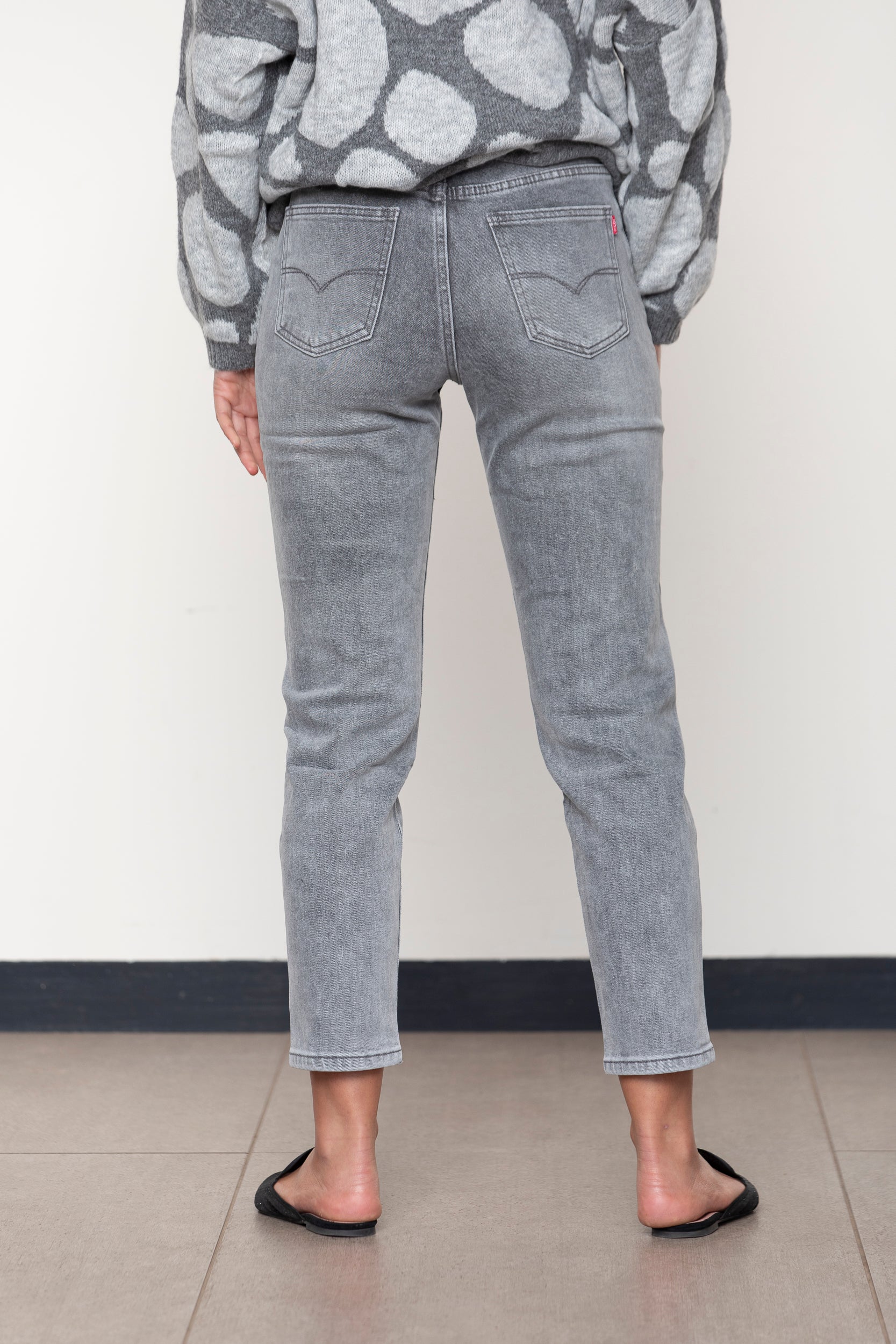 JEANS MYRTILLOCACTUS