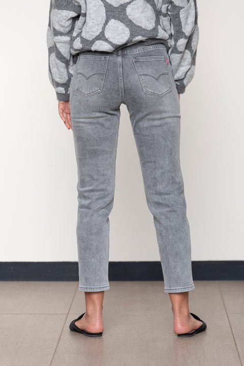 JEANS MYRTILLOCACTUS