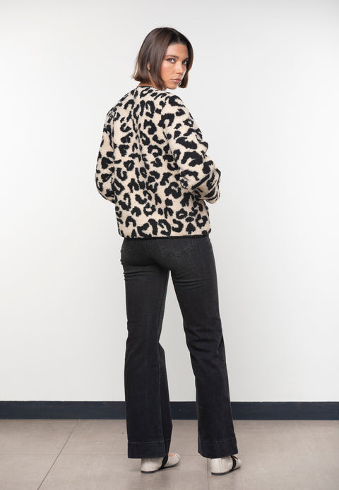 CHAQUETA AVELLANO